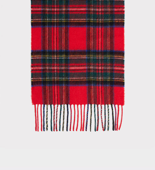 SCARF IN CASHMERE - ROYAL STEWART - Husbands - 1