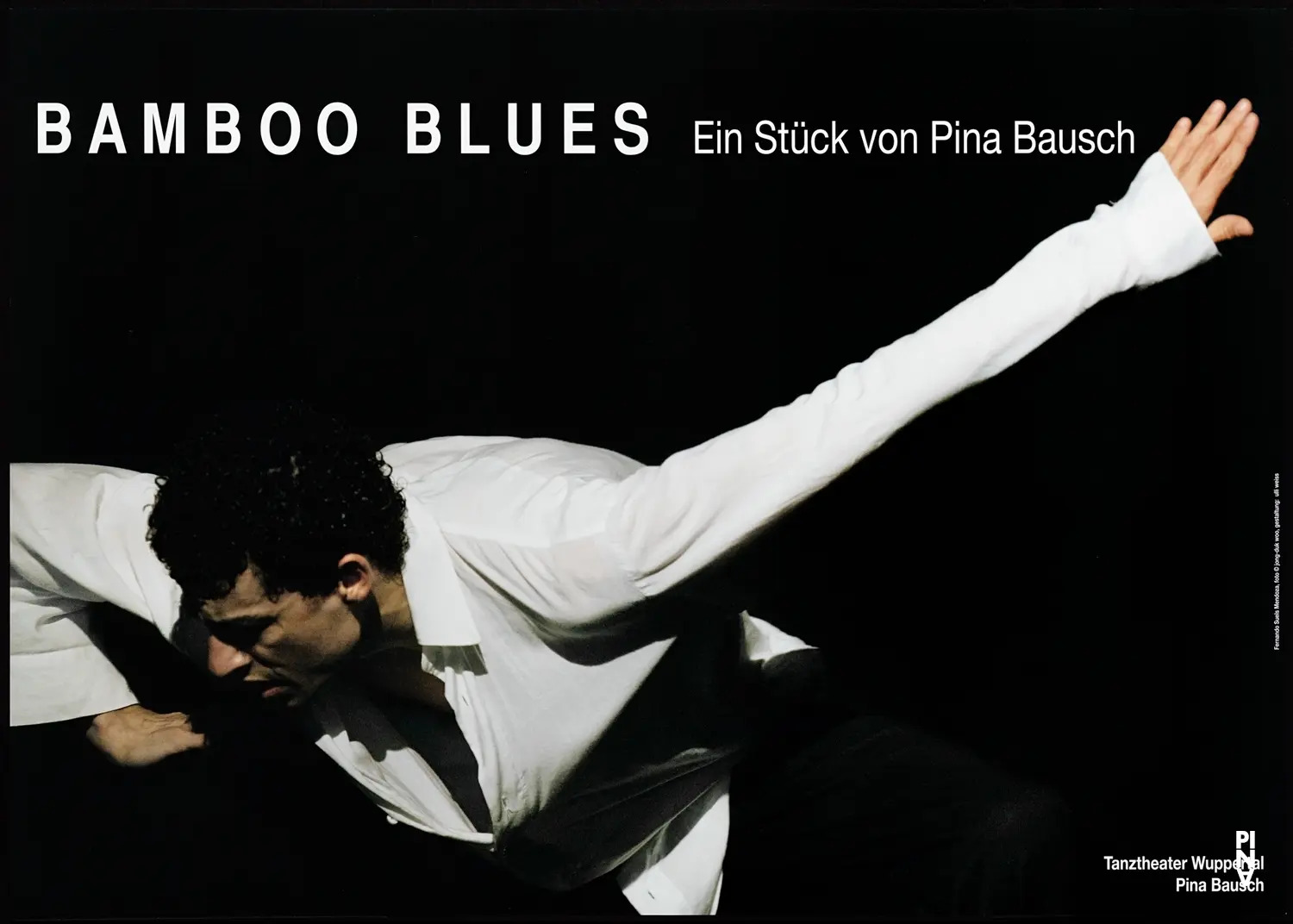 Bamboo Blues. created. 2007